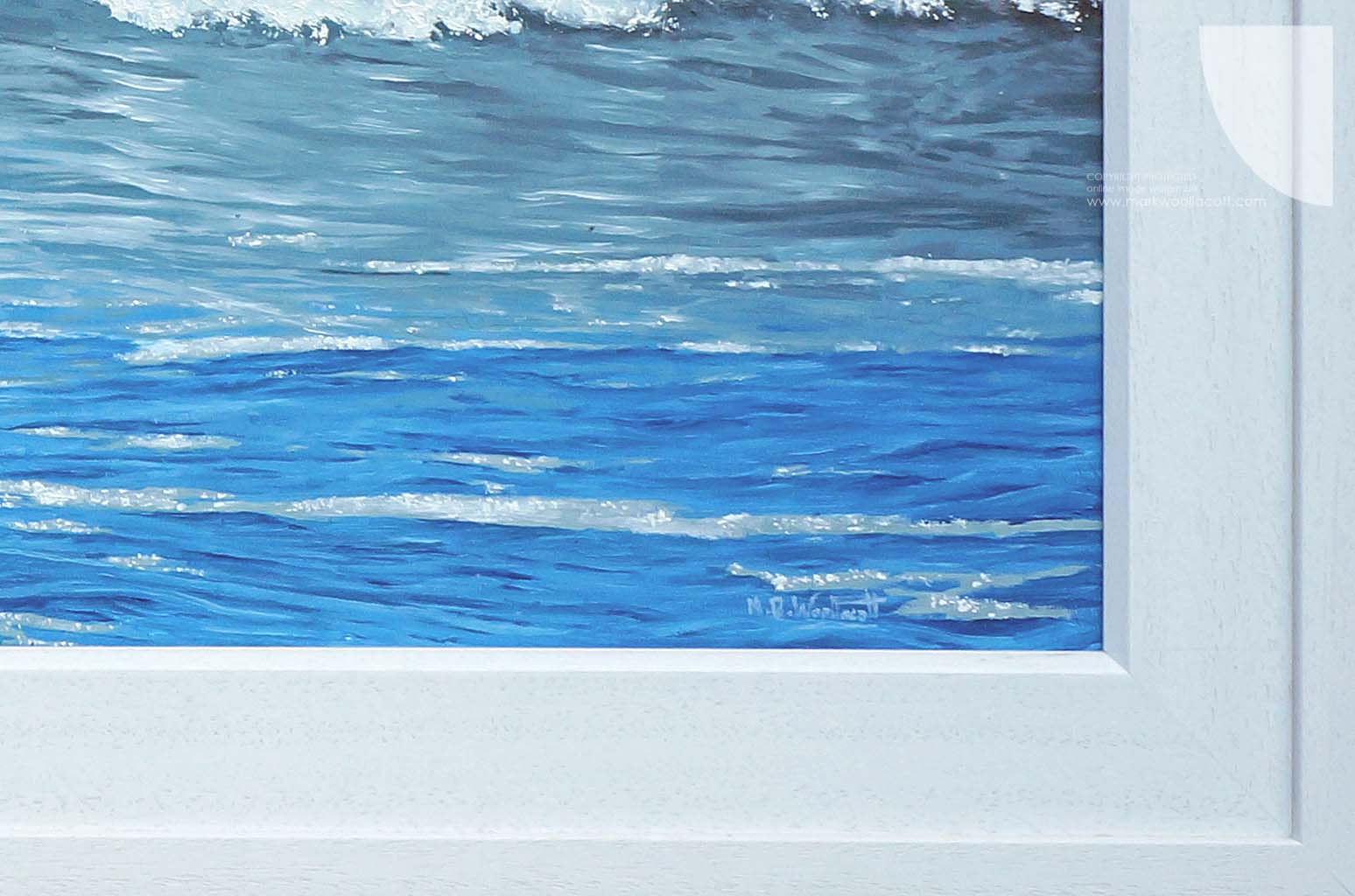 image of Pulse of the Ocean by Mark Woollacott
